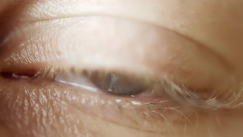 Close Up of Human Eye