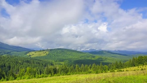Rolling Green Mountains with Grazing Cows