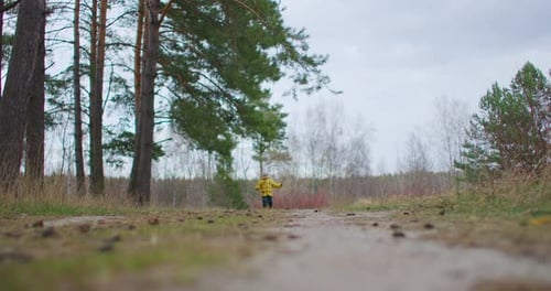 An Active Boy Walks in Forest. Boy on Yellow Leaves in Autumn Park. A Boy Goes Through the Yellow