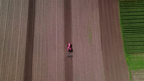 Agricultural Red Small Tractor in the Field Plowing Works in the Field
