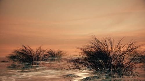 Cinéma : coucher de soleil sur l'océan