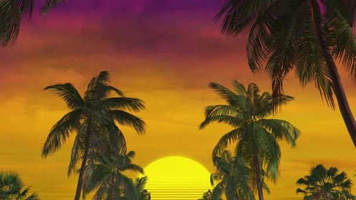 Sommerpalme Sonnenuntergang 02 4k