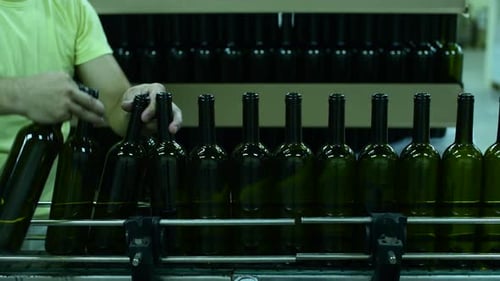 Conveyor with Wine Bottles at Wine Factory White Wine Production Bottle Washing and Filling