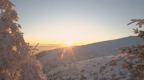 Sonnenuntergang durch gefrorene immergrüne Bäume und schneebedeckte Berge in Bulgarien