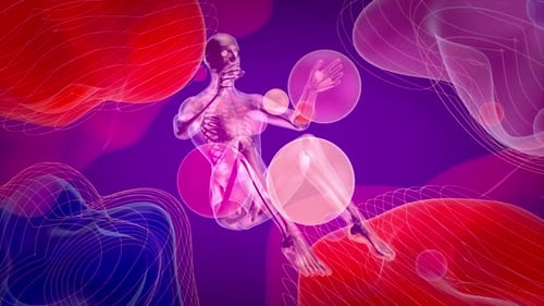 4K Anatomie eines Mannes beim Situps