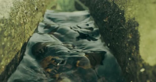 A Small Creek Between Two Stones