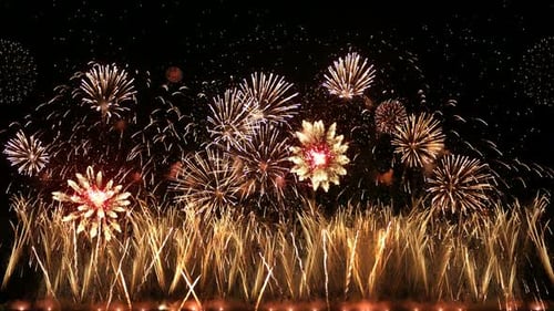 Spectacular Fireworks Display in the Night Sky