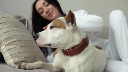Attractive Girl Stroking Her Purebred Dog While Lying Floor Modern Apartment