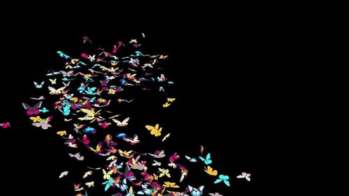 05 Butterfly HD