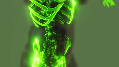 Glowing Green Human Skeleton Medical Scan