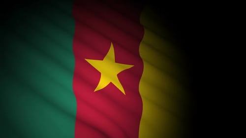 Waving Cameroon Flag with Spotlight Animation
