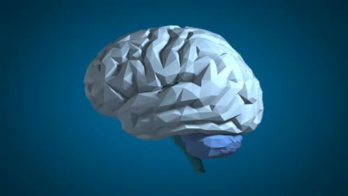 Low Poly Brain — Blau