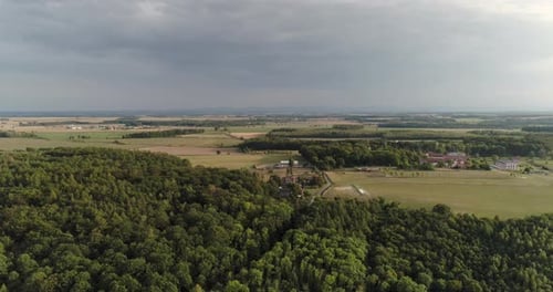 Aerial View of Agricultural Fields and Forest
