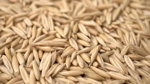 Rotate Raw Oats