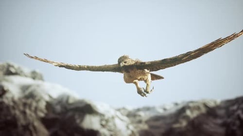 Majestic Golden Eagle Soaring Above Snowy Peaks