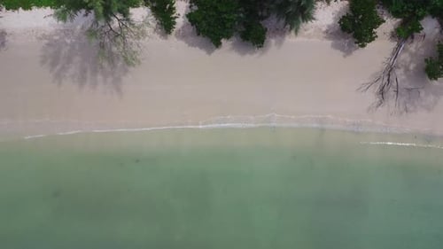 Belles vagues et plage de sable blanc sur l'île tropicale.
