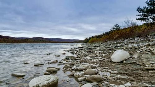 Wild Mountain River Close Up Abundant Clear Stream. Detail Static Shot of Babbling Creek with Stone