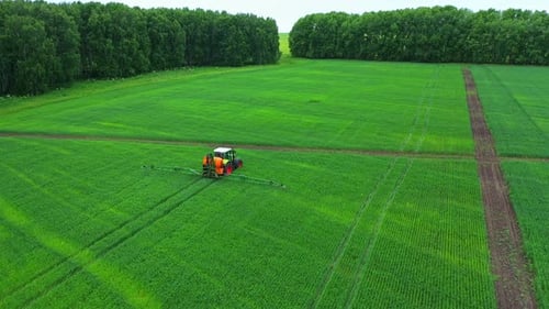 Drohnenansicht des grünen landwirtschaftlichen Feldes des Traktors.