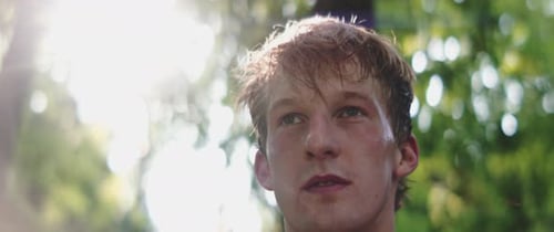 Man looks up at treetops