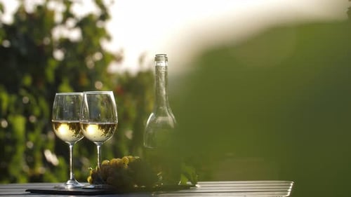 White Wine