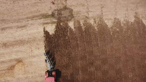 Two Tractors Plow the Field