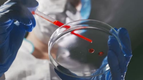 Medical Professional Adding Liquid to Petri Dish