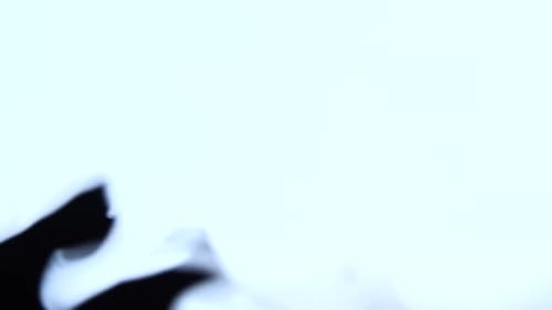 Ethereal White Vapor Swirling Against Black Background