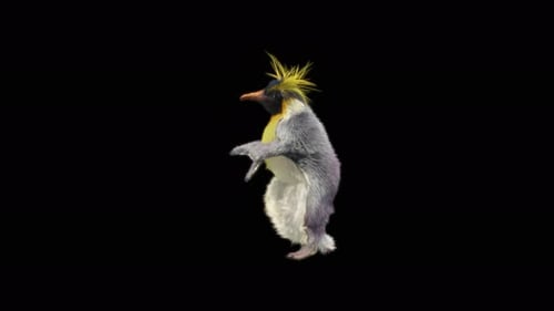 Penguin Dancing 4K