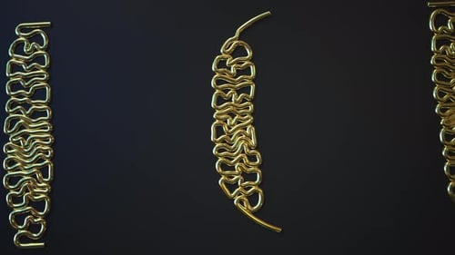 Gold Bending Wires Form TECH Word