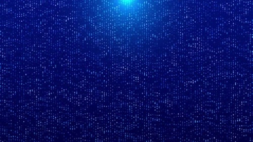 Numeric Computer Binary Data