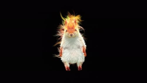 8.1 Squirrel House Dancing 4K