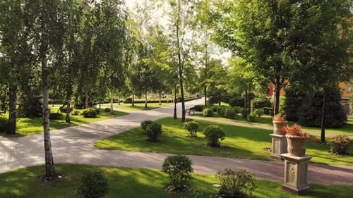 Sunny Summer Park.
