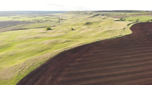 Spring hills