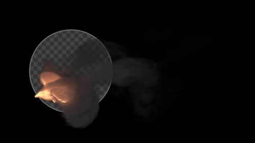 Abstract Fire Bird Smoke Reveal Portal