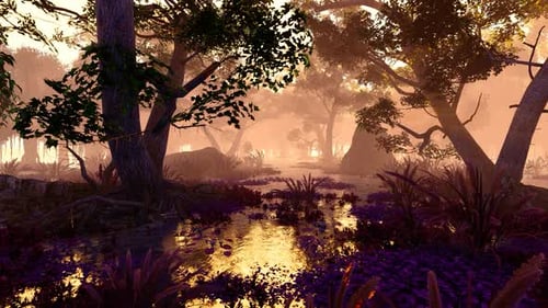 Bog With Large Trees And Plants