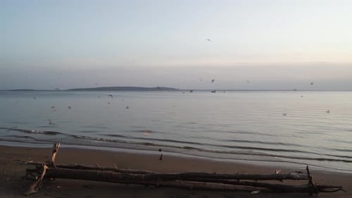 Tranquil Beach with Birds Flying at Sunset