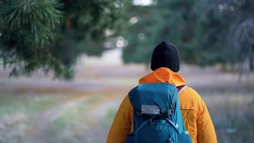 Back View Hiker Man Goes with Big Backpack Through Dense Green Forest