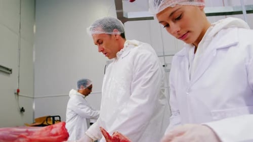 Workers Processing Fresh Meat in Industrial Food Plant