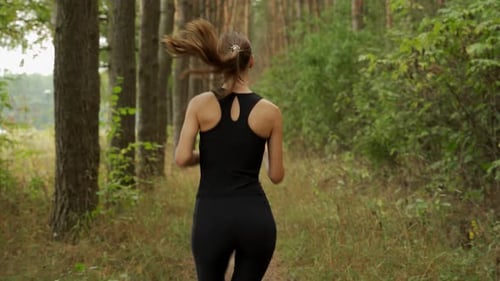 Rear View of a Young Woman Running Through a Pine Forest on a Sunny Morning