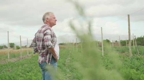 Mature man working on farm