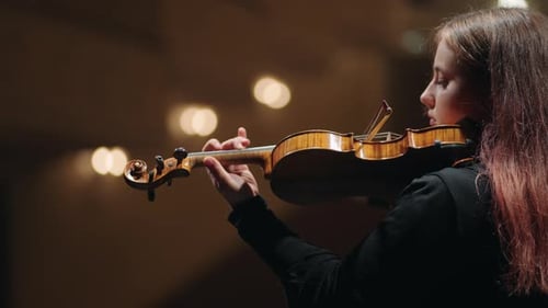 First Fiddle in Symphonic Orchestra Young Woman is Playing Violin on Scene of Music Hall Portrait
