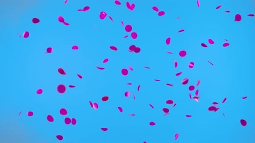 Round Pink Confetti Floating in Air on Blue Screen Chroma Key Background