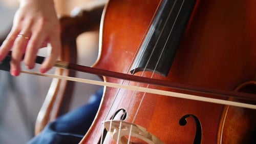 Close up of a Musician Playing Cello