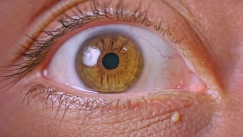 Extreme Close Up of Human Eye Opening and Closing