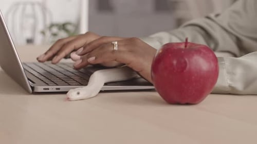 Serpent blanc rampant sur le clavier d'ordinateur portable au bureau
