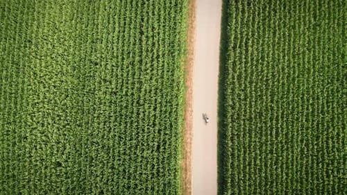 Top Cycling through green fields