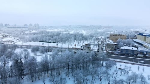Winter city garden. Trees in the snow. Flying over a snow-covered park. Aerial photography.