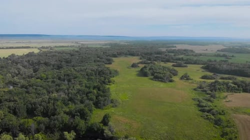 An Aerial View. Beautiful Summer Landscape in the Middle Strip of Russia. Along the Narrow, Winding
