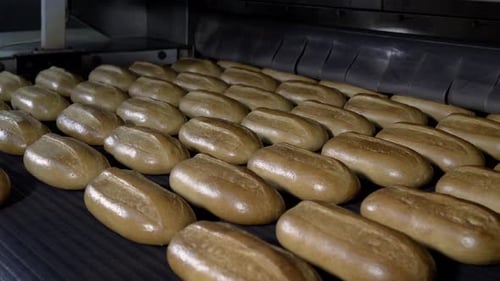 Loaf of Bread on the Production Line in the Bakery. Baked Loaf of Bread in the Bakery