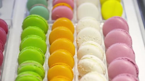Assortment of Macarons in Bakery Shop